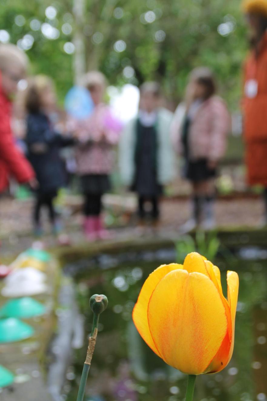 flower